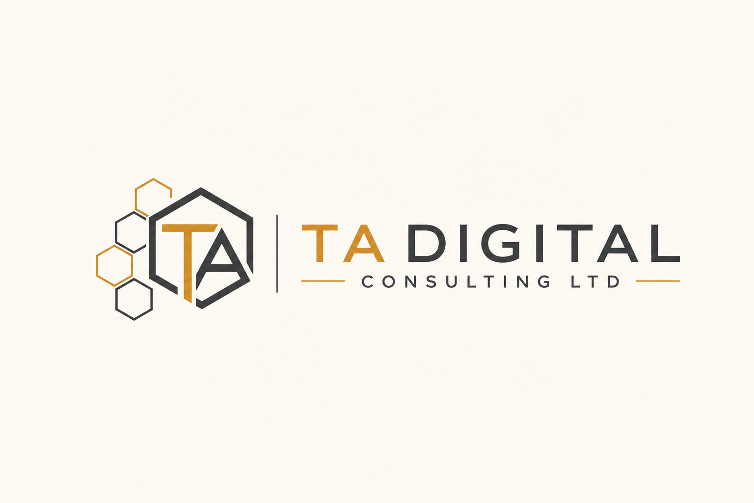 TA Digital Consulting Ltd logo